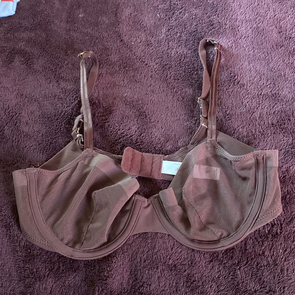 Burgundy Translucent Bra